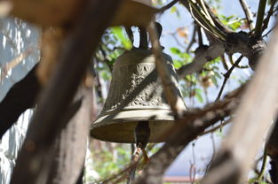 开云体育手机-NBA球员转会市场动态，nba转会名单