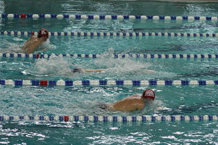 开云体育ios-“世界游泳锦标赛：2025新加坡赛场泳池掀起速度与优雅的碰撞”